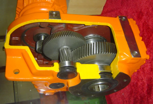 1461640073842174.jpg 6.jpg